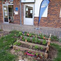 Bacs potagers participatifs Patio commerces Pont du Routoir Guyancourt (Juillet 2018)